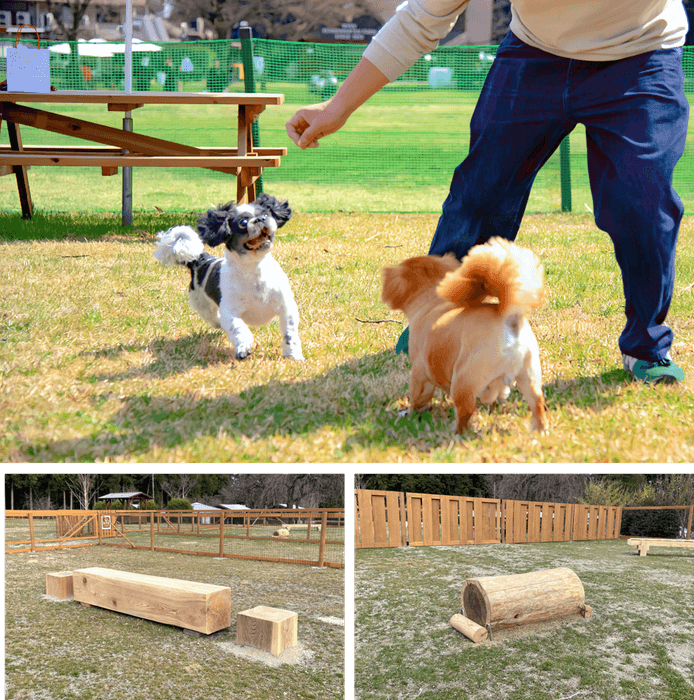 木製のアジリティ