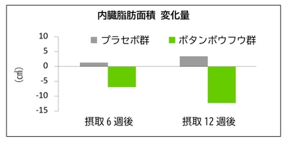 喜界島産のボタンボウフウ(長命草)に新機能 「内臓脂肪低減作用」を確認、販売を強化