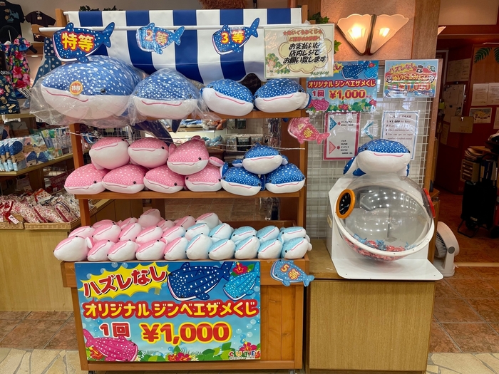 海洋博公園内 ショップやんばるの杜 「ぬいぐるみくじ」(ハズレなし)