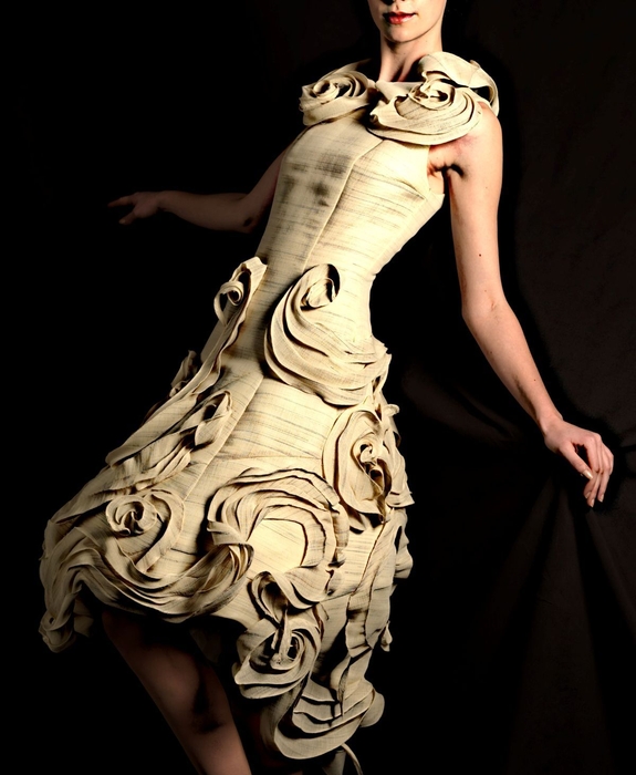 フラクタルドレス 視覚認識学者とのコラボ