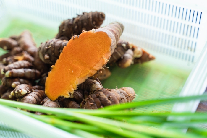 アーユルヴェーダ自然療法で活用するヘルスケアハーブ