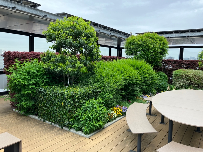 <ビオトープ設置前>