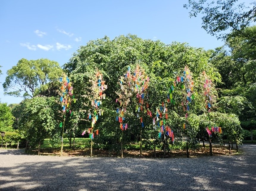 七夕飾り(過年度の様子:六義園)