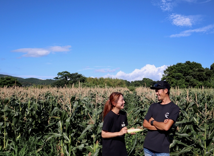 当農園の畑の様子