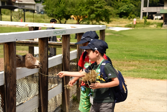 動物ふれあい 動物へのえさやり体験