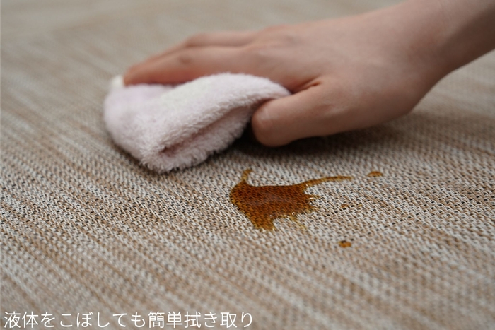 ネオタタミメンテナンス(拭き取り)