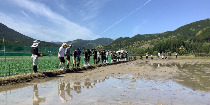 令和6年(2024年)に実施した田植え体験の様子