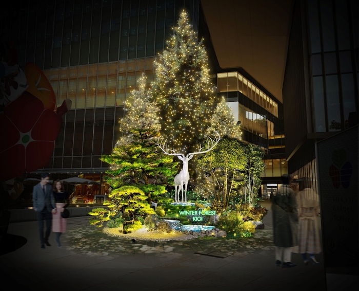 KIOI WINTER FOREST(夜イメージ)