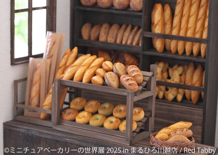 展示作品:Red Tabby(2)