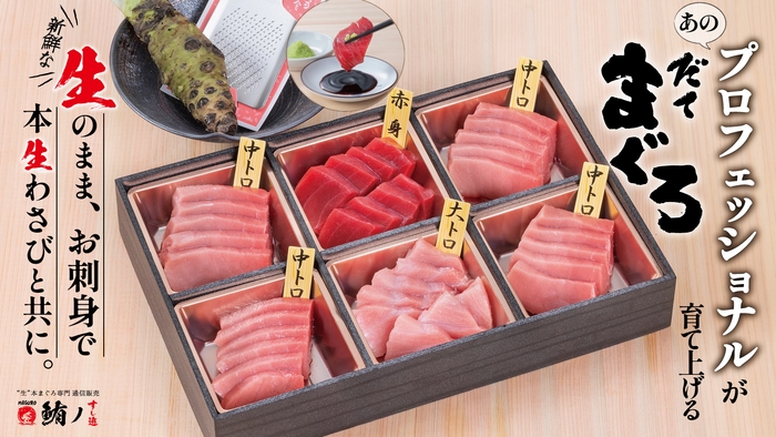 「だてまぐろ」刺身で送る 本生わさびと共に