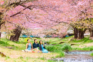 東北の春を満喫！ 福島の景勝地「観音寺川の桜並木」を満喫する お花見プランをホテルリステル猪苗代がご提案！