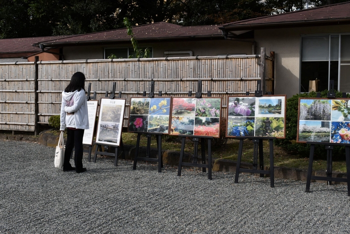 パネル展示の様子(令和3年)