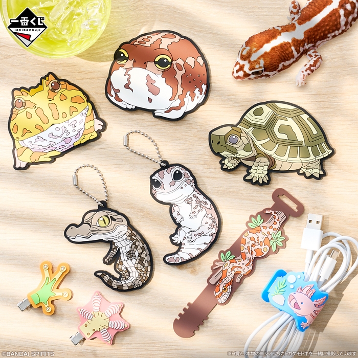 H賞:ラバーコレクション(イメージ)