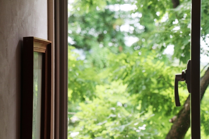 ピカピカに光る窓から見る風景(Photo by asako)