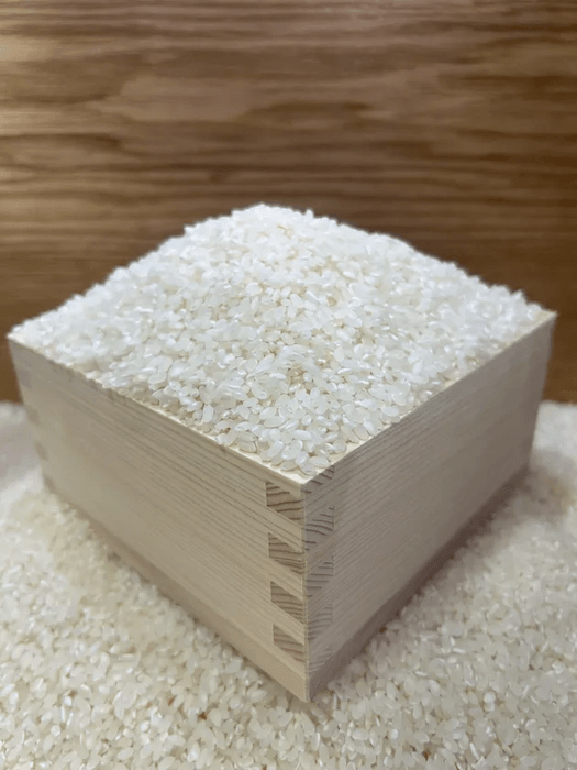 収穫の新米すくい