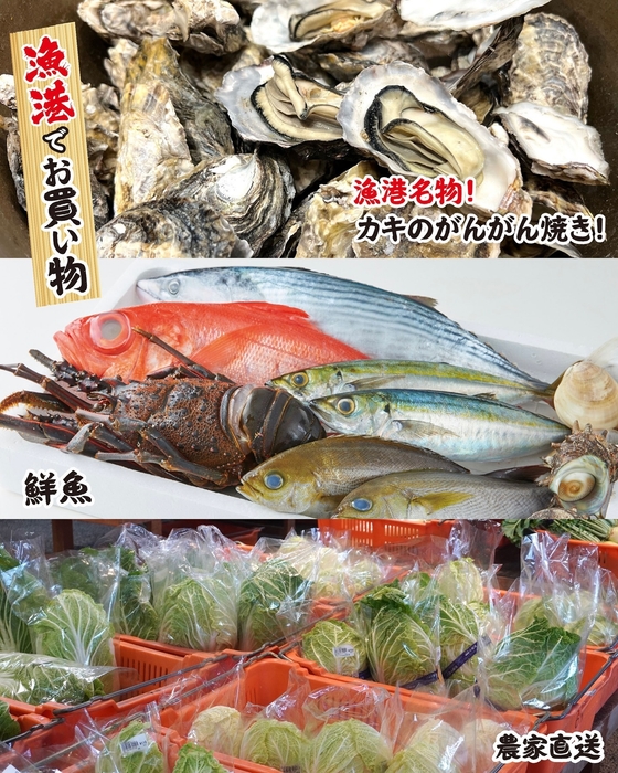 カキのがんがん焼き、鮮魚、農家直送の農作物をお買物