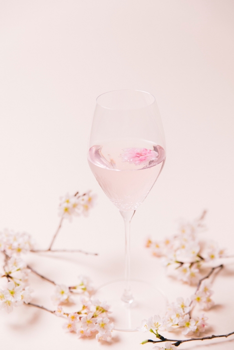 桜カクテル イメージ
