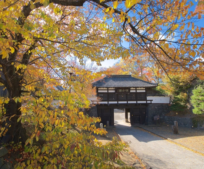 小諸城址懐古園 三の門