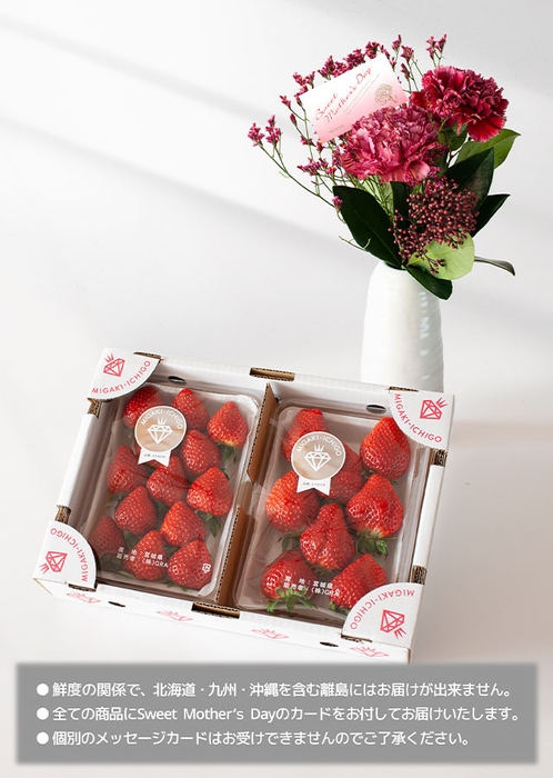 ミガキイチゴ&カーネーションブーケ(花瓶付き)のセット