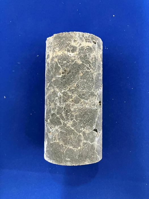 図5:ひび割れ充填された供試体