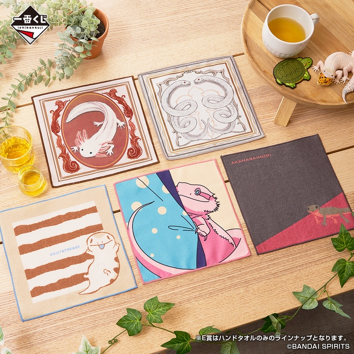 E賞:タオルコレクション(イメージ2)