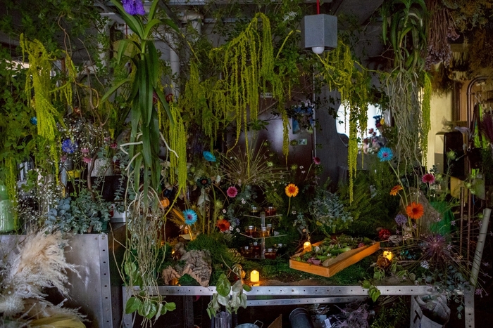 Maison De l'Oiseau 1