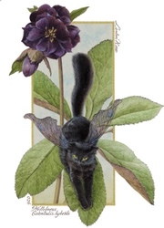 猫アレルギーの方も楽しめる猫好きのためのバー＆カフェ 「BellaGattoちゅら猫」2月・3月に猫の日月間イベントを開催！