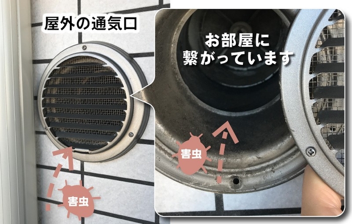 屋外の通気口 虫の侵入