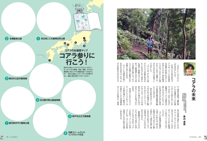 コアラの未来・コアラ参りに行こう！