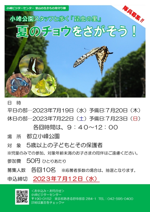 表