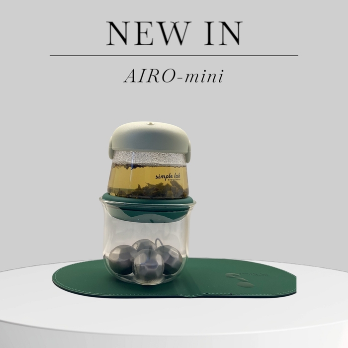 AIRO-mini