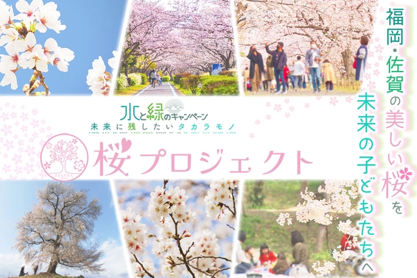 福岡・佐賀の桜の保全活動「桜プロジェクト」を開始　 「KBC水と緑の基金」として9月25日まで CAMPFIREでクラファン募集