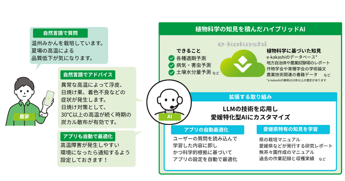 LLMを搭載した愛媛特化型AIのイメージ