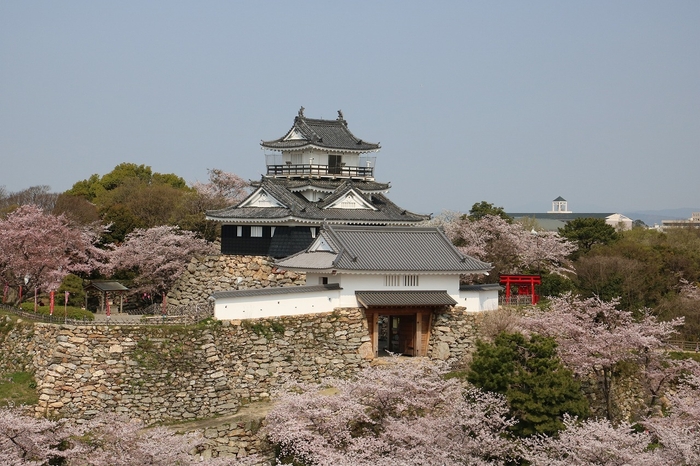 浜松城公園