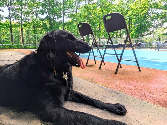 足が汚れにくいオムニ人工芝コート