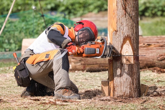 △昨年の大会で、高い技術を披露する選手