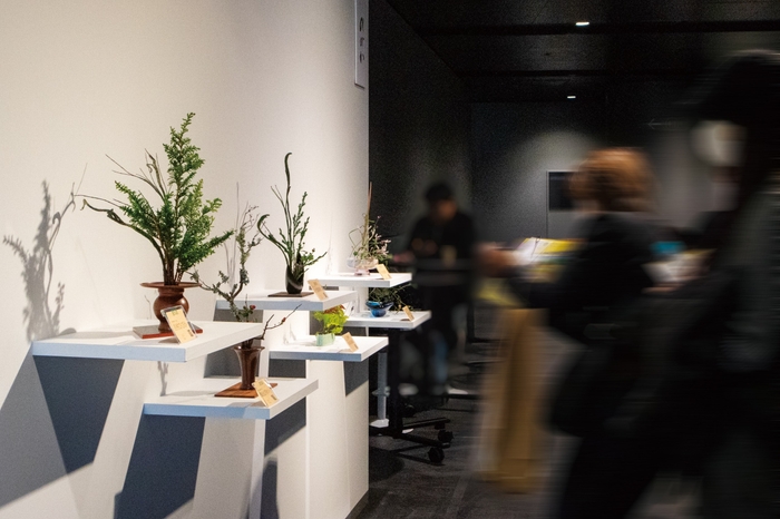 「ひびか」特別展示(2024)