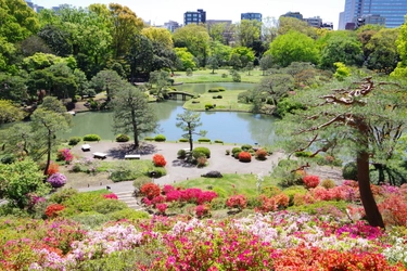春の六義園イベント～大名庭園でつつじを楽しむ～４月11日（金）～５月２日（金）開催
