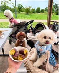 大阪の手ぶらBBQ「GoodBBQ」で 第一期アンバサダー19名が就任決定　 ～子連れ客も犬連れ客も楽しめる夏の公園バーベキュー！ 5つの改善を実施～