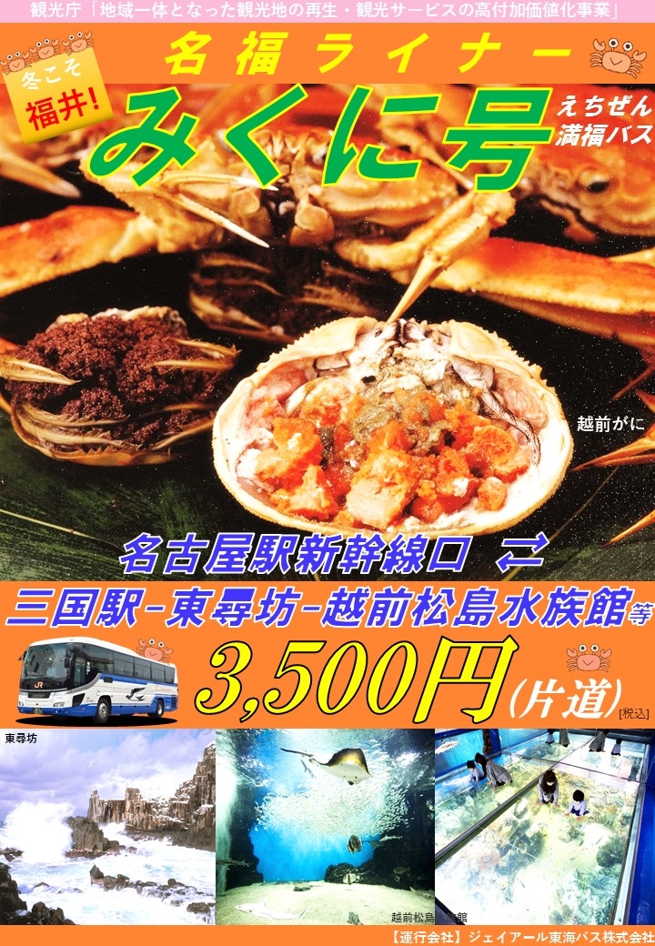 パンフレット(表)