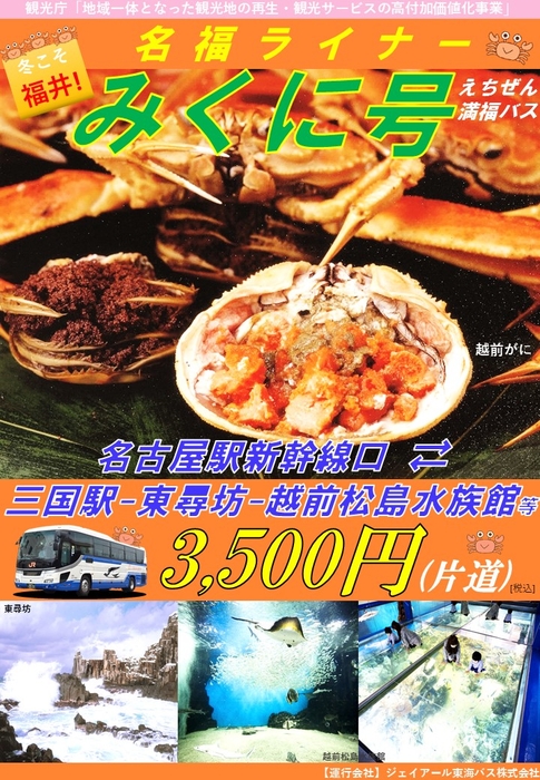 パンフレット(表)