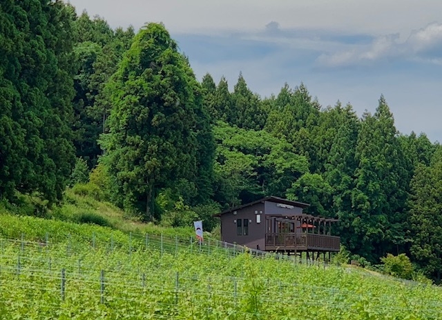 ブドウ畑とショップ