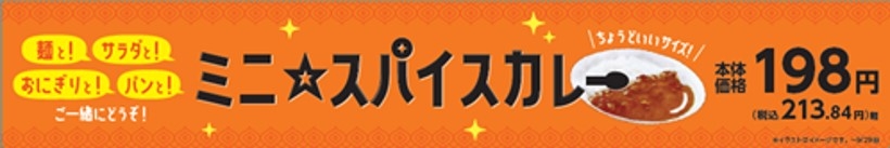 ミニ☆スパイスカレー販促物(画像はイメージです。)