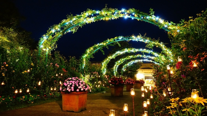 ~光の庭園~ イメージ写真