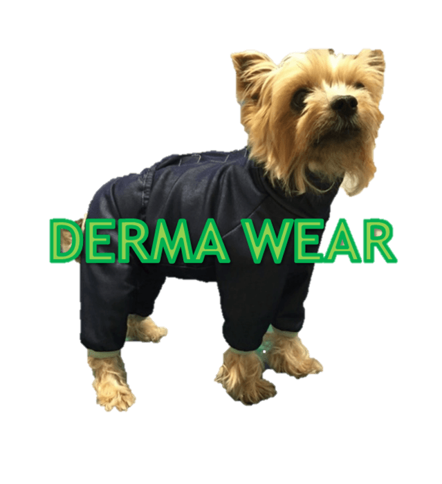 DERMA WEAR(ダーマウェア)