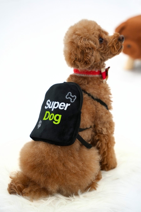 カプセルトイの新製品『うちの子かわいい!ドッグリュック』。着用イメージ