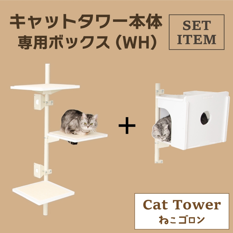 本体+専用ボックスセット