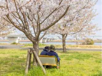 minoru504撮影場所:大島小松川公園