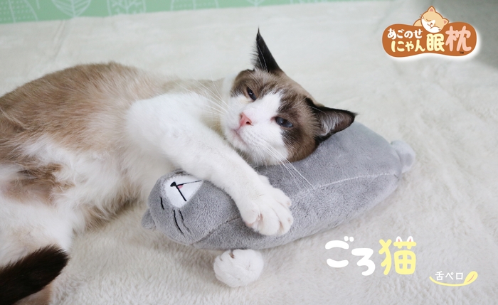 ごろ猫 舌ペロ