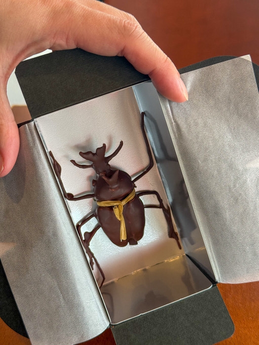 カブトムシチョコレート